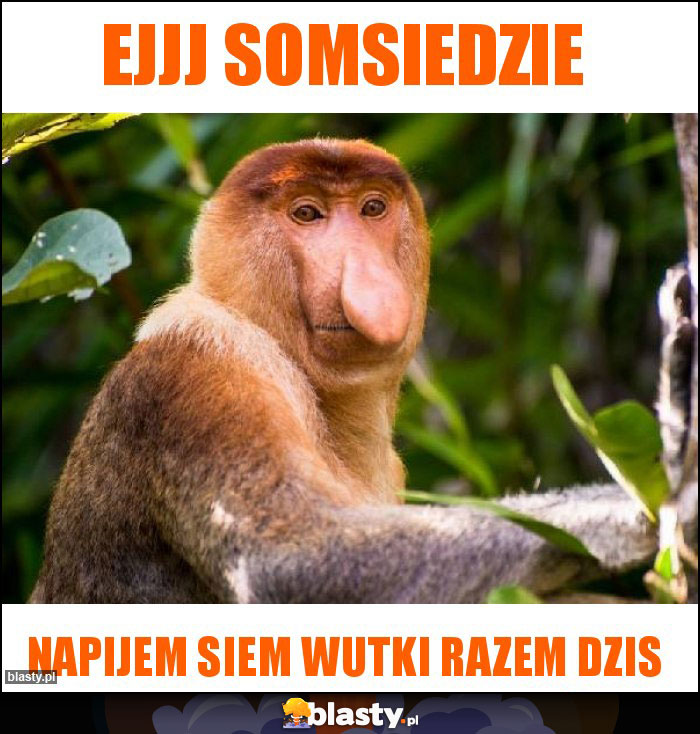 Ejjj Somsiedzie Ejjj Somsiedzie