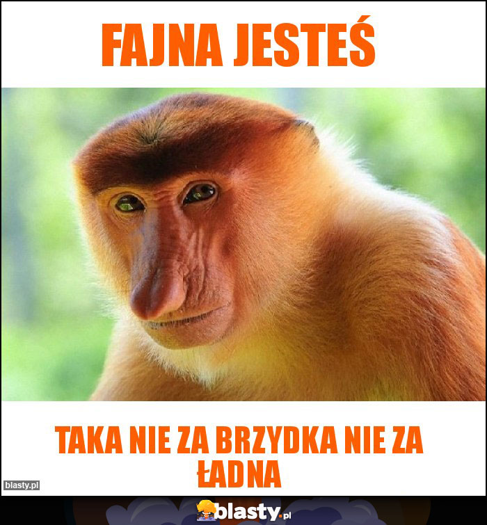 Fajna jesteś Fajna jesteś