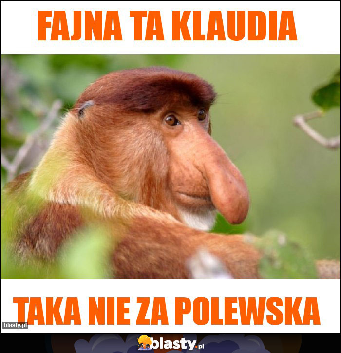 Fajna ta klaudia Fajna ta klaudia