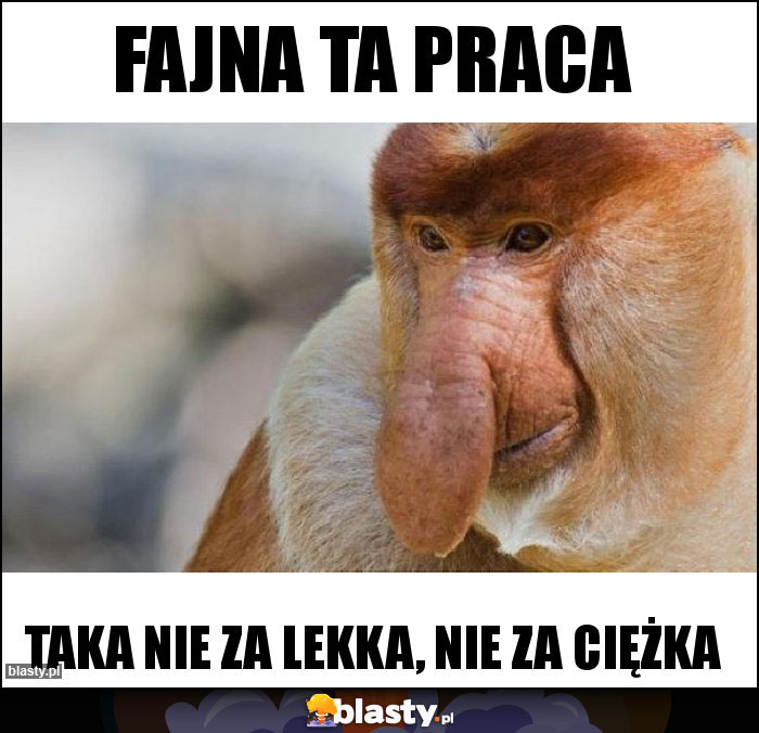 Fajna ta praca Fajna ta praca