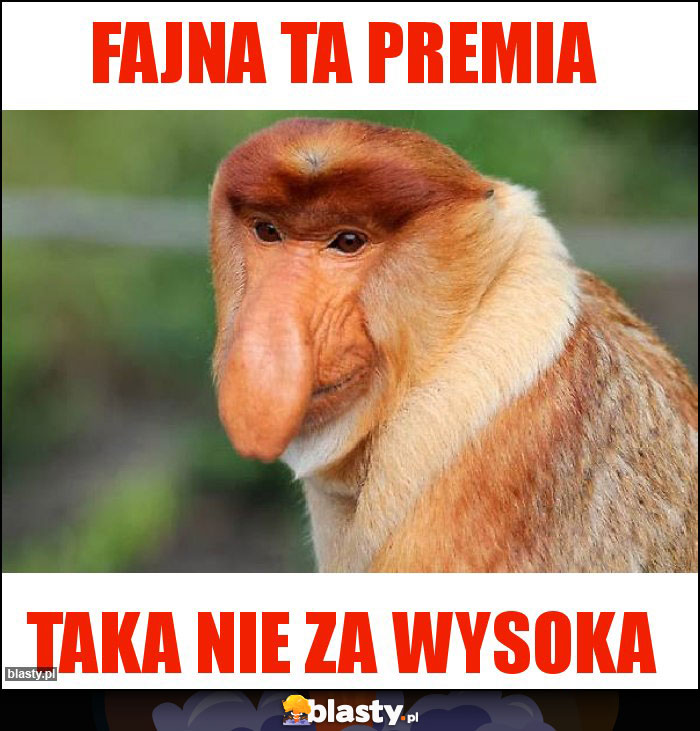 FAJNA TA PREMIA FAJNA TA PREMIA