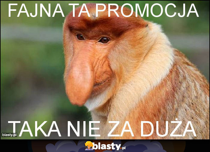 fajna ta promocja fajna ta promocja