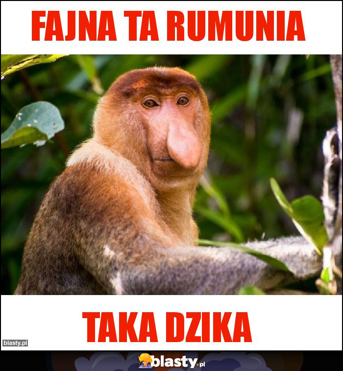 Fajna ta Rumunia Fajna ta Rumunia