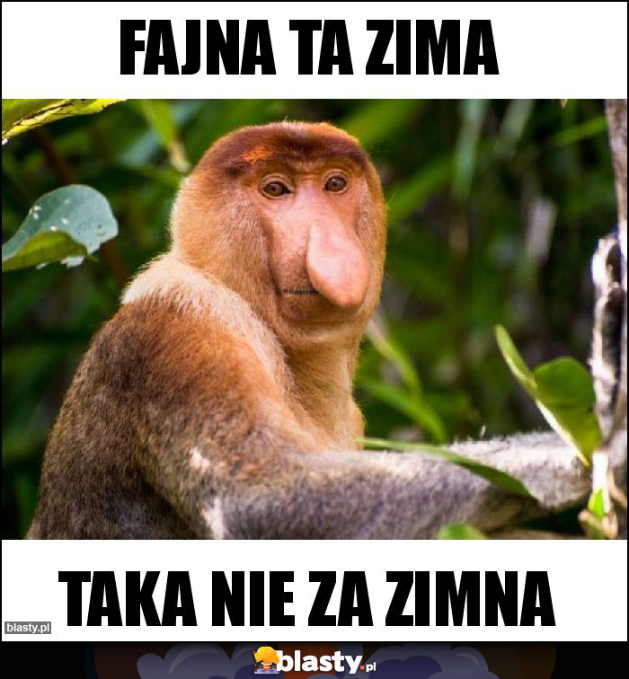 fajna ta zima fajna ta zima