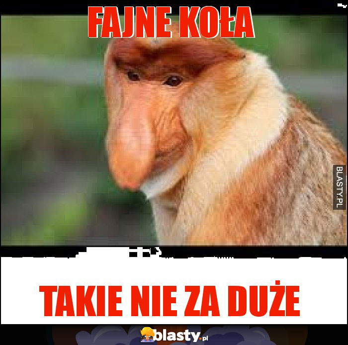 FAJNE KOŁA FAJNE KOŁA