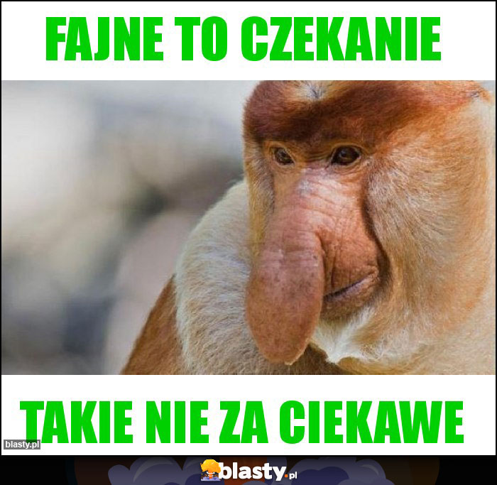 Fajne to czekanie Fajne to czekanie