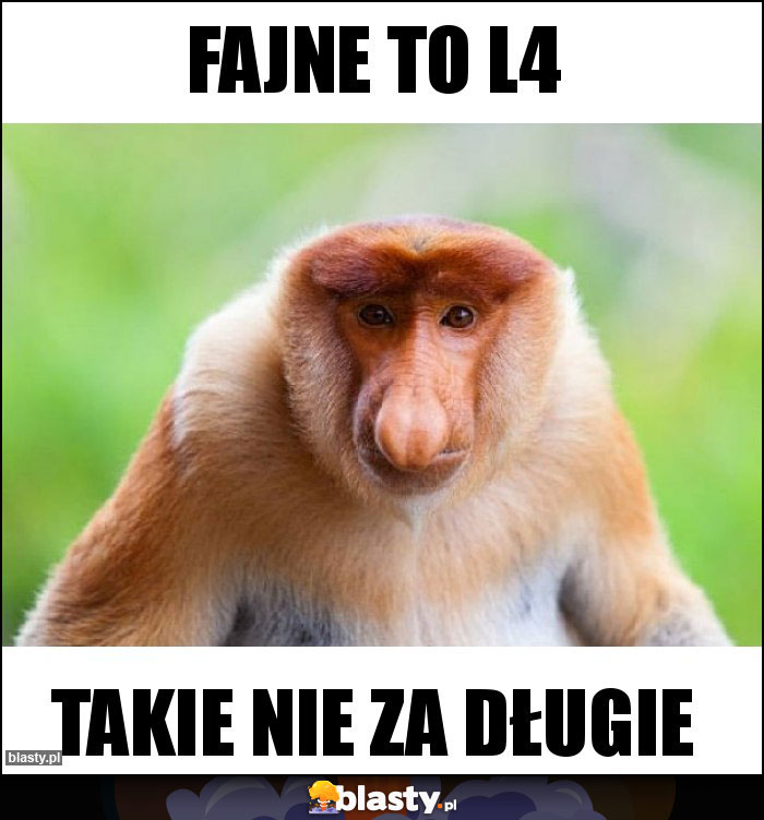 Fajne to L4 Fajne to L4