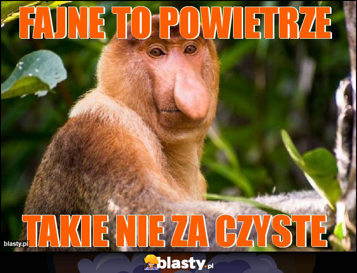 fAJNE TO POWIETRZE fAJNE TO POWIETRZE