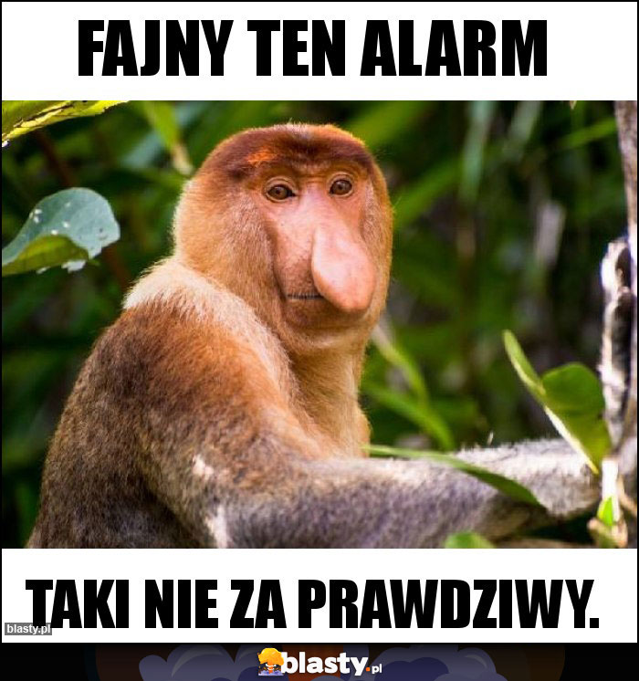 Fajny ten alarm Fajny ten alarm