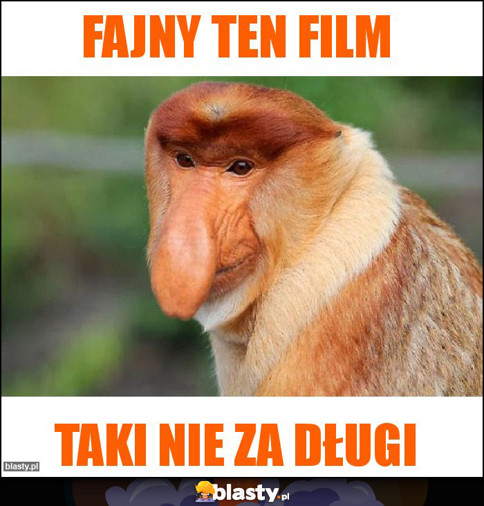 Fajny ten film Fajny ten film