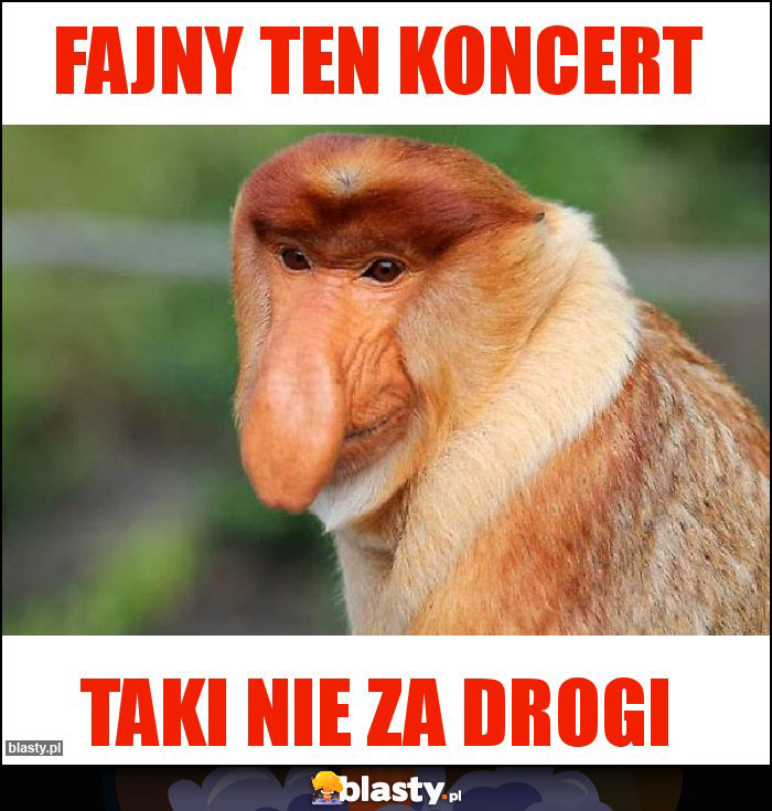 Fajny ten koncert Fajny ten koncert