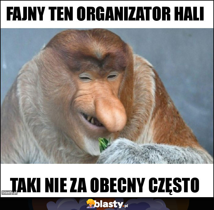 Fajny ten organizator hali Fajny ten organizator hali