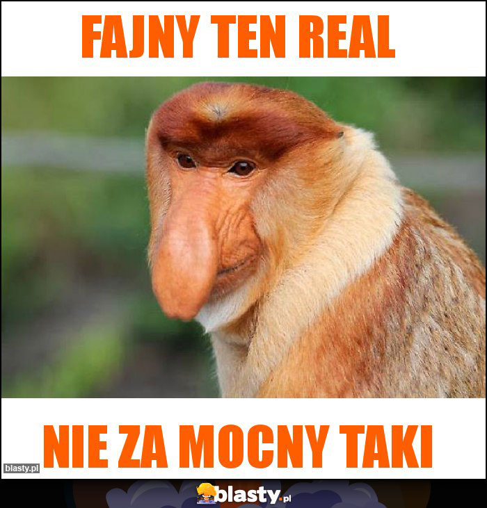Fajny ten real Fajny ten real