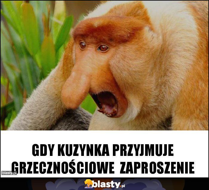 Gdy kuzynka przyjmuje grzecznościowe  zaproszenie