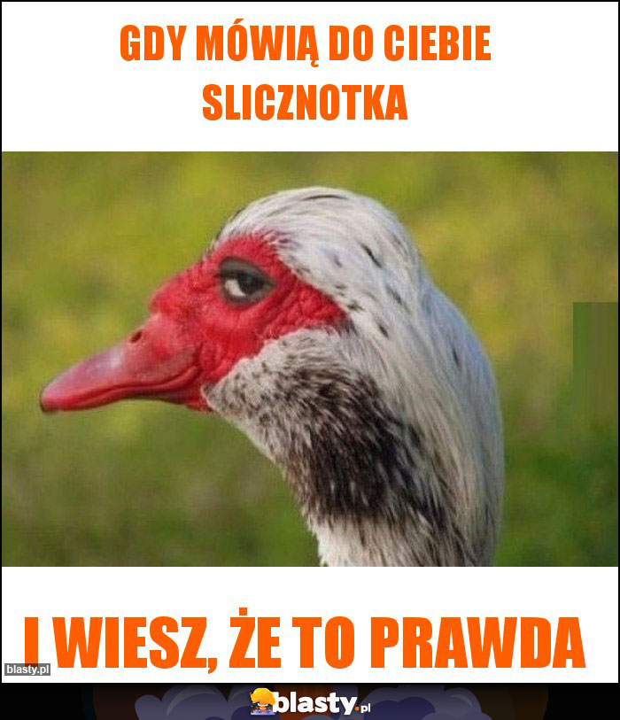 Gdy mówią do Ciebie slicznotka Gdy mówią do Ciebie slicznotka