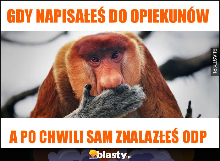 Gdy napisałeś do opiekunów Gdy napisałeś do opiekunów