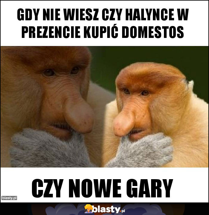 Gdy nie wiesz czy Halynce w prezencie kupić domestos Gdy nie wiesz czy Halynce w prezencie kupić domestos