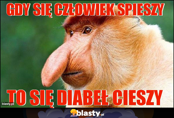 Gdy się człowiek spieszy Gdy się człowiek spieszy