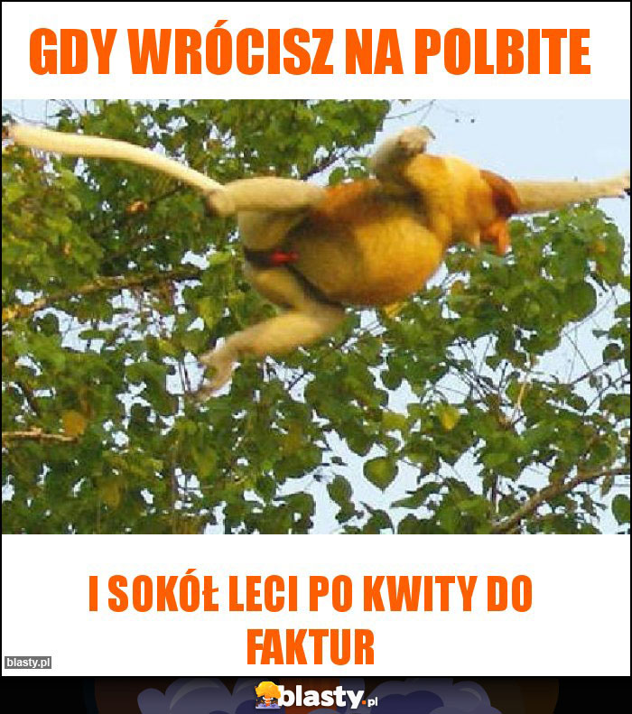 Gdy wrócisz na polbite Gdy wrócisz na polbite