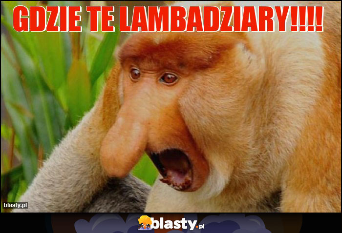Gdzie te lambadziary!!!! Gdzie te lambadziary!!!!