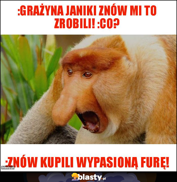 :Grażyna Janiki znów mi to zrobili! :Co? :Grażyna Janiki znów mi to zrobili! :Co?