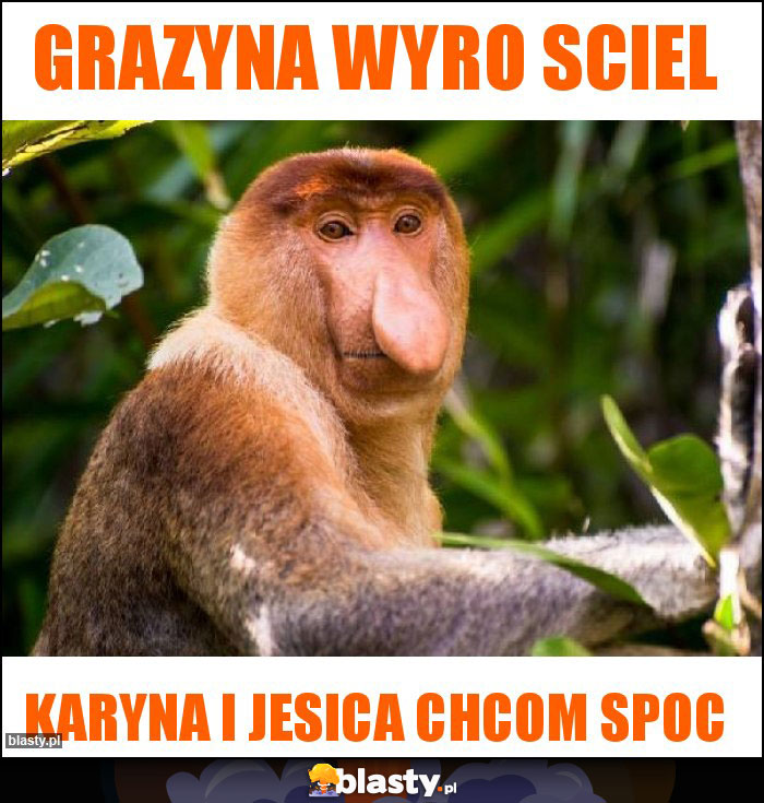 Grazyna wyro sciel Grazyna wyro sciel