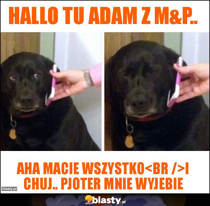 Hallo tu Adam z M&P.. Hallo tu Adam z M&P..