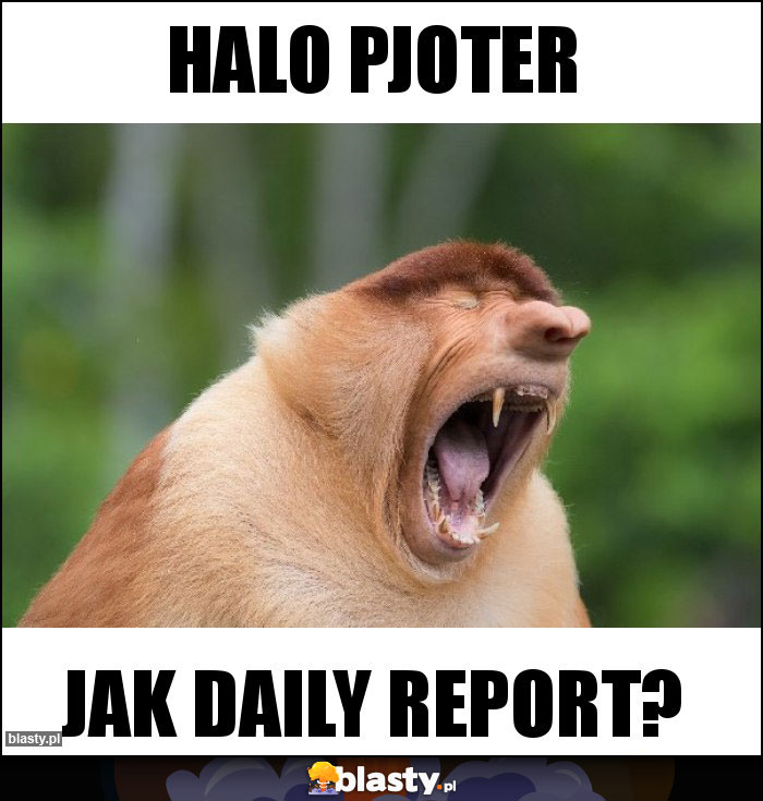 Halo Pjoter Halo Pjoter