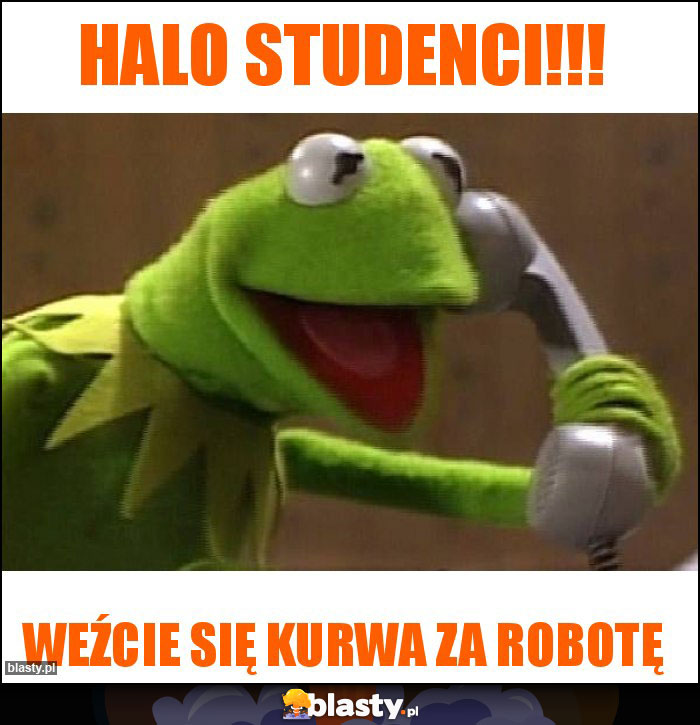 Halo studenci!!! Halo studenci!!!