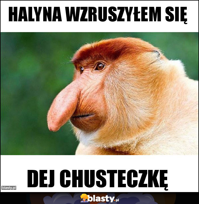Halyna wzruszyłem się Halyna wzruszyłem się