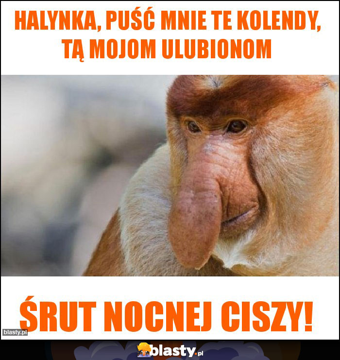 Halynka, puść mnie te kolendy, tą mojom ulubionom
