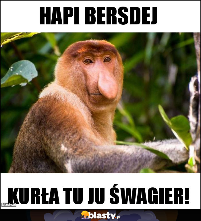 Hapi bersdej Hapi bersdej