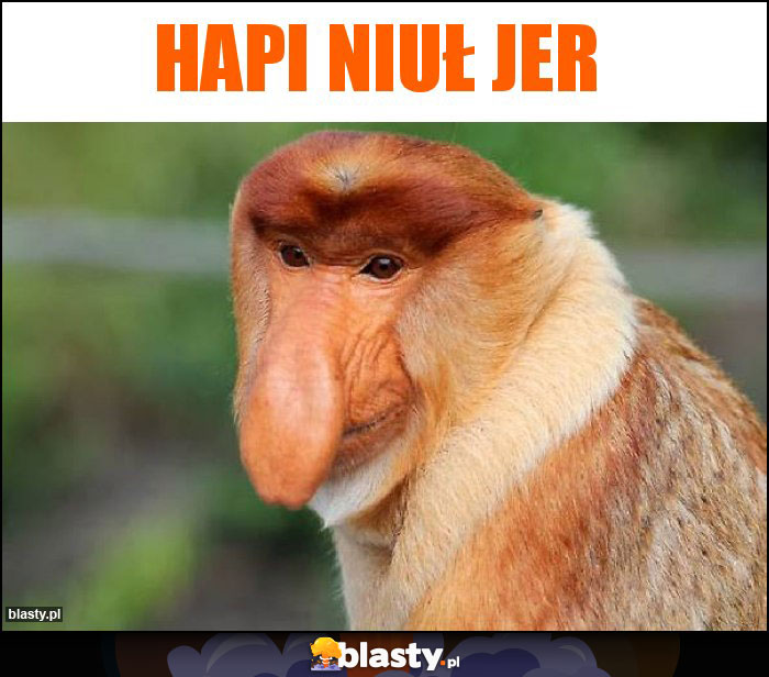 Hapi Niuł Jer Hapi Niuł Jer