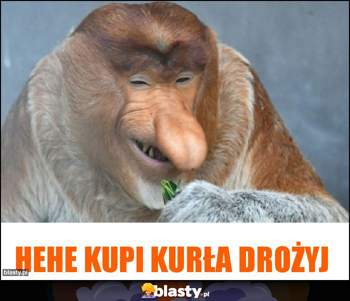 HeHe kupi kurła drożyj HeHe kupi kurła drożyj