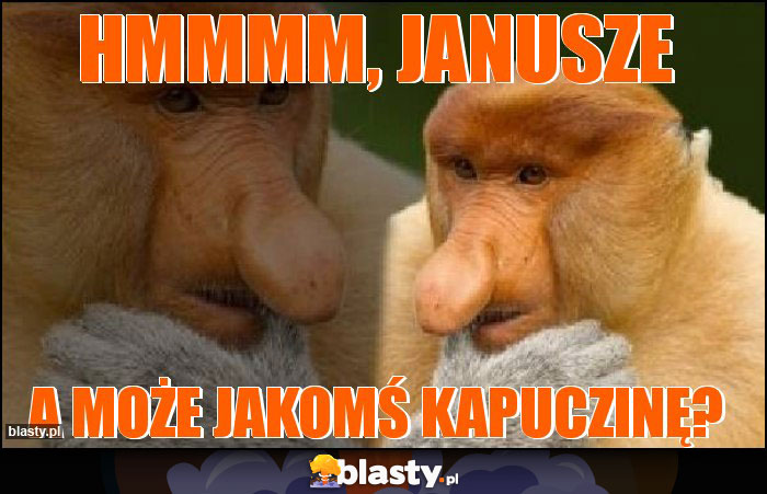 Hmmmm, Janusze Hmmmm, Janusze