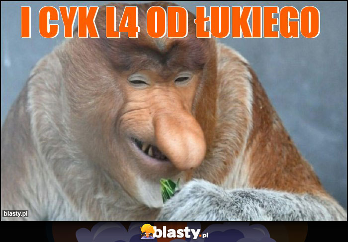 I CYK L4 OD ŁUKIEGO I CYK L4 OD ŁUKIEGO