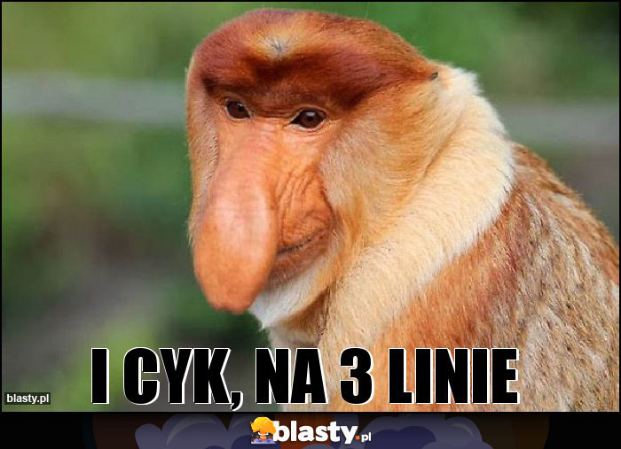 I cyk, na 3 linie I cyk, na 3 linie