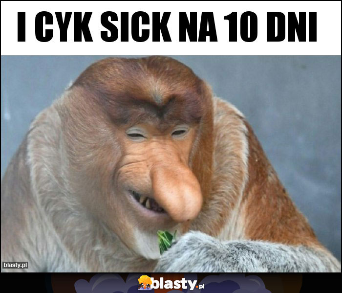 I cyk sick na 10 dni I cyk sick na 10 dni