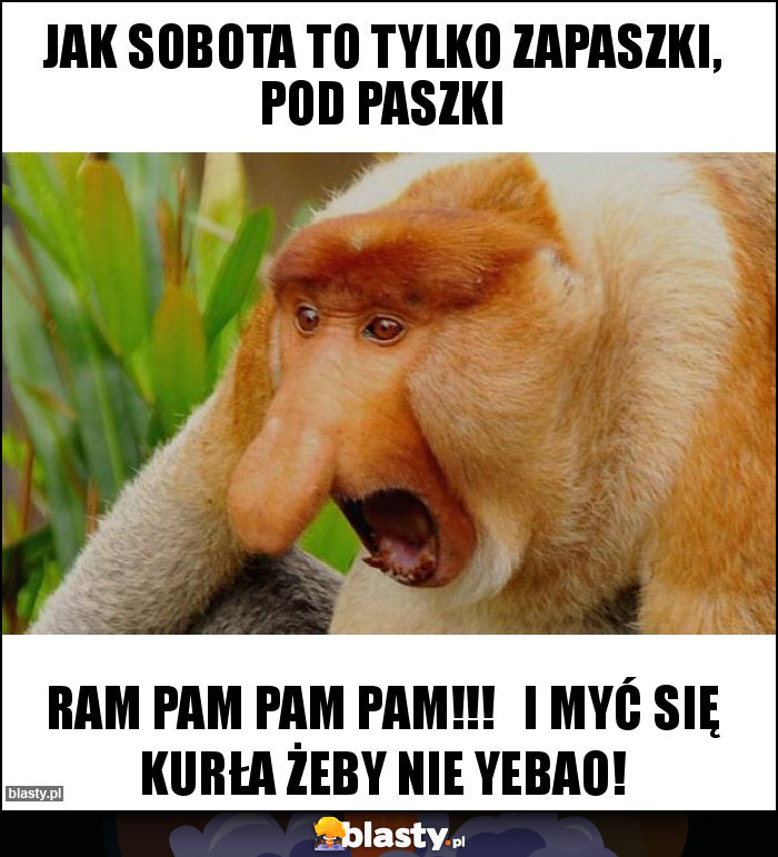 Jak sobota to tylko zapaszki, pod paszki Jak sobota to tylko zapaszki, pod paszki