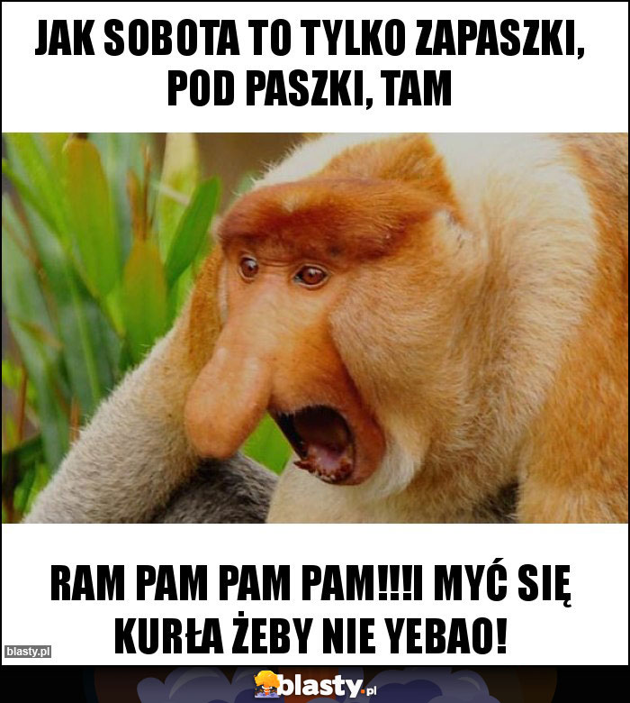 Jak sobota to tylko zapaszki, pod paszki, tam Jak sobota to tylko zapaszki, pod paszki, tam