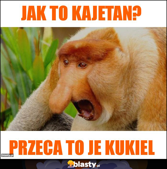 jak to kajetan? jak to kajetan?
