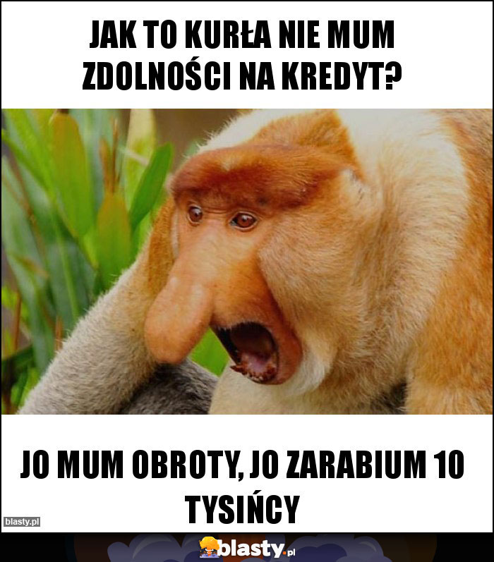 JAK TO KURŁA NIE MUM ZDOLNOŚCI NA KREDYT? JAK TO KURŁA NIE MUM ZDOLNOŚCI NA KREDYT?