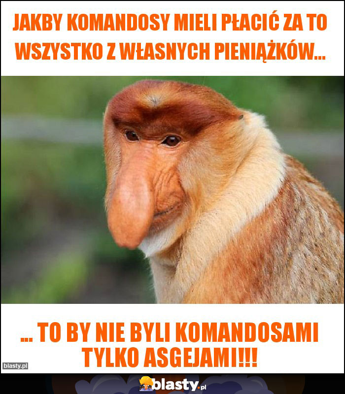 Jakby komandosy mieli płacić za to wszystko z własnych pieniążków... Jakby komandosy mieli płacić za to wszystko z własnych pieniążków...
