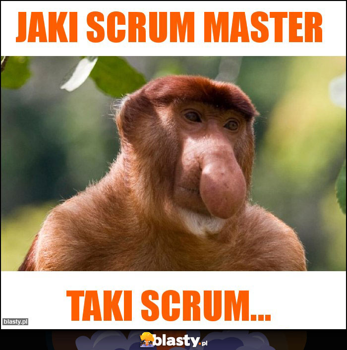 Jaki Scrum Master Jaki Scrum Master