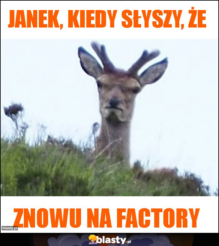 Janek, kiedy słyszy, że Janek, kiedy słyszy, że