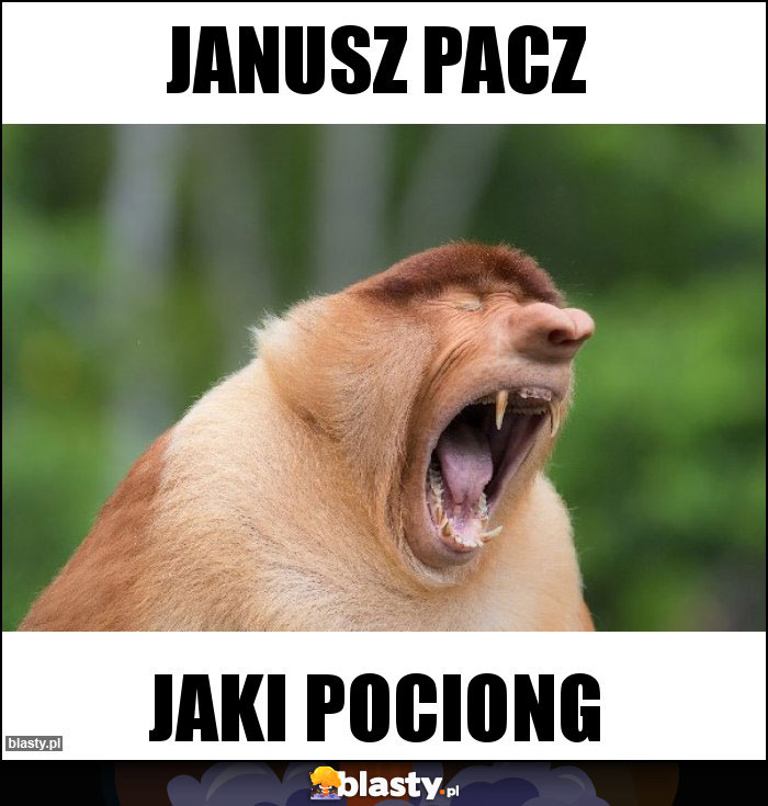 Janusz Pacz Janusz Pacz