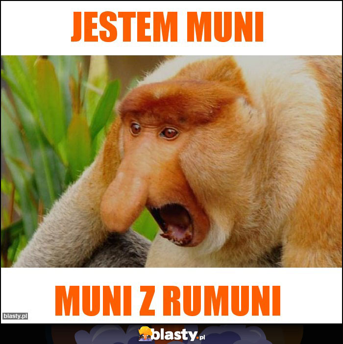 jestem muni jestem muni