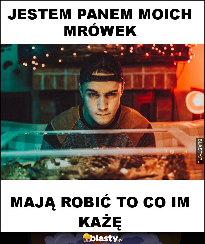 Jestem panem moich mrówek Jestem panem moich mrówek