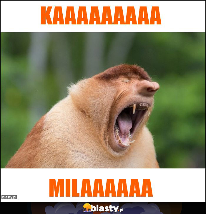 KAAAAAAAAA KAAAAAAAAA