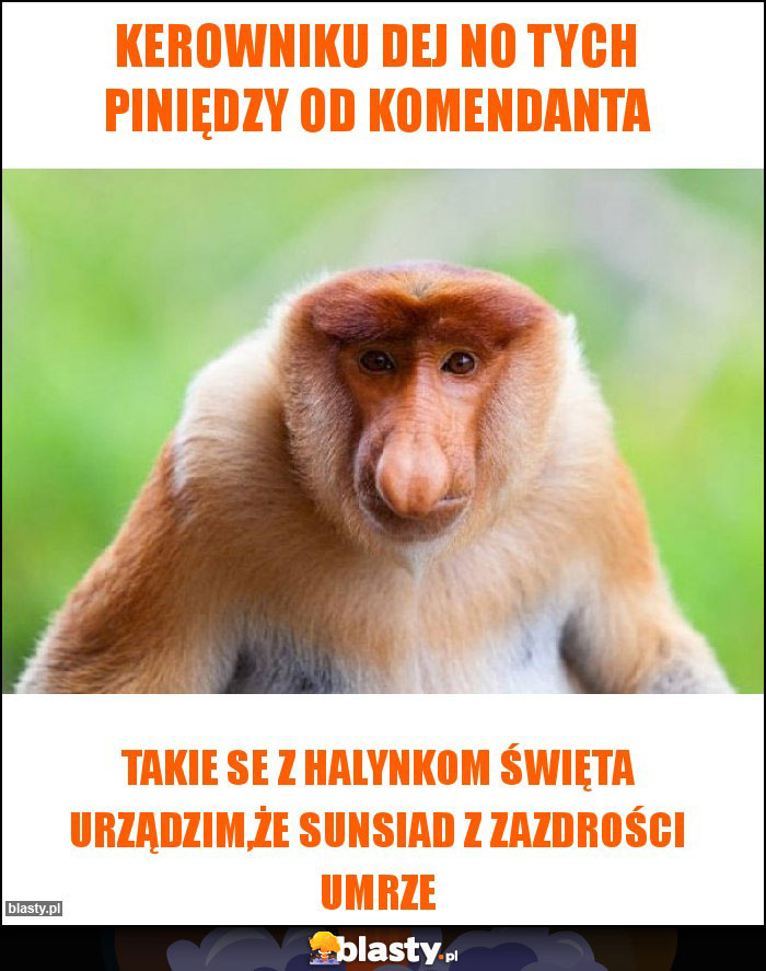 Kerowniku dej no tych piniędzy od komendanta Kerowniku dej no tych piniędzy od komendanta